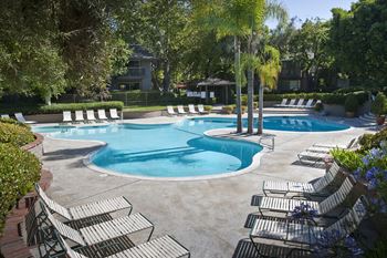 A large swimming pool surrounded by lounge chairs and trees.